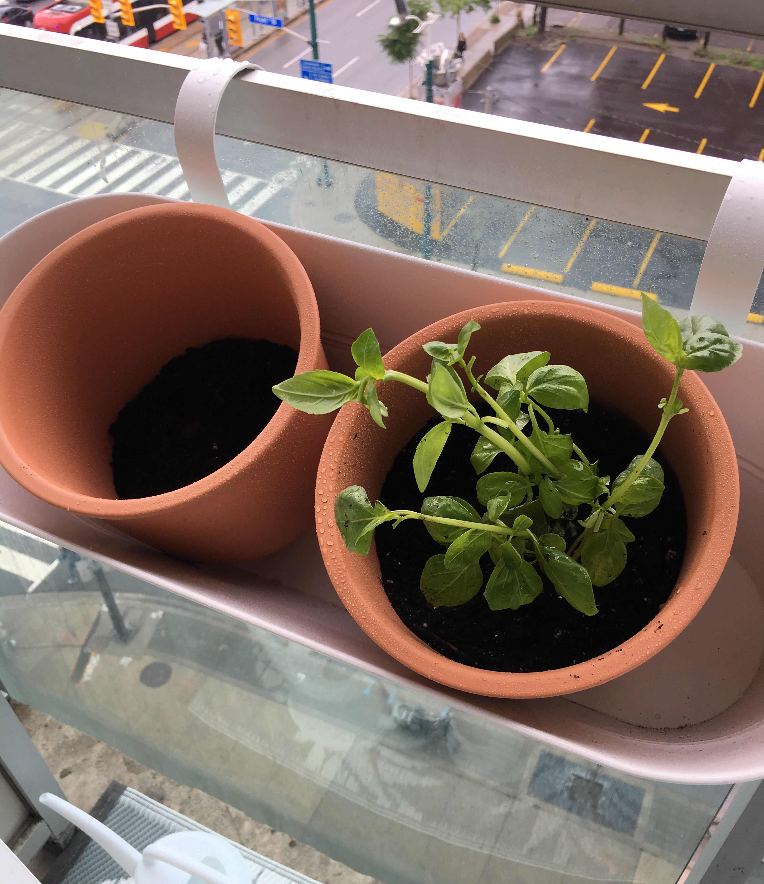 Balcony Gardening